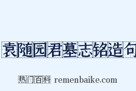 袁随园君墓志铭造句是什么意思的图片